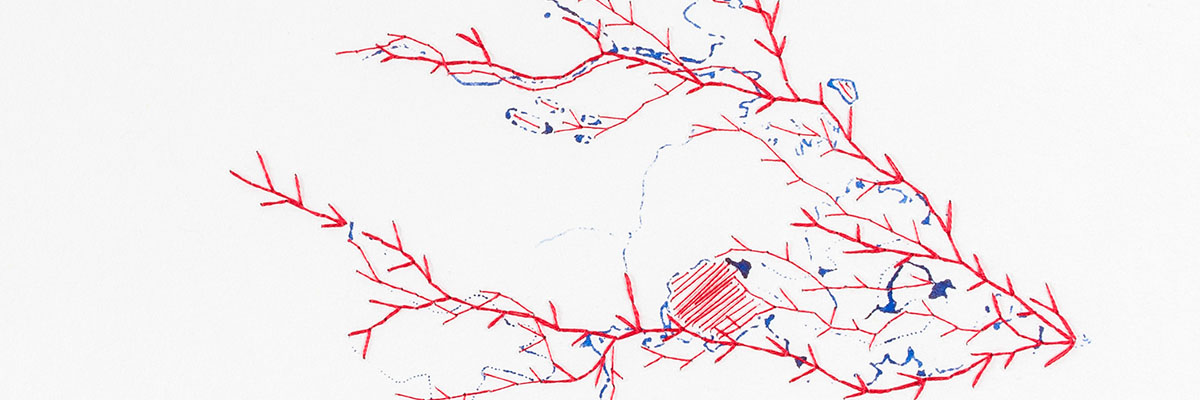 Lien visuel vers la série d'encre et broderie sur papier petite anatomie de la france par Sophie Le Chat
